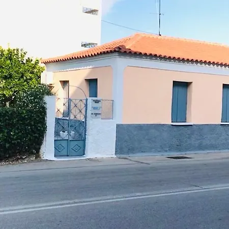 Traditional House “avli” *